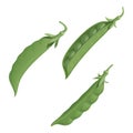 Three fresh green pea pods with peas, isolated vector illustration Royalty Free Stock Photo
